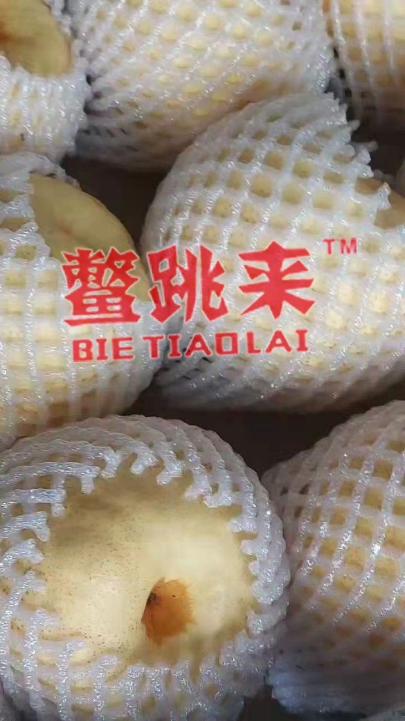 (包邮）山西运城王过酥梨，量大从优，产地直销，价格优惠。