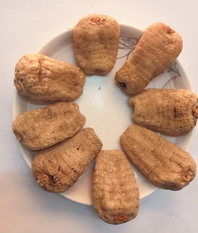 云南昭通小草坝天麻
