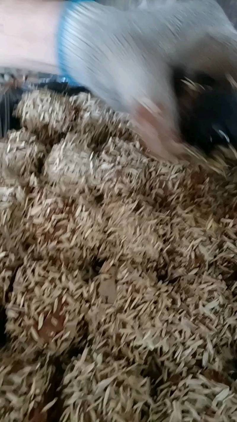 江西麻壳松花蛋批发，等各种直发，欢迎来电咨询