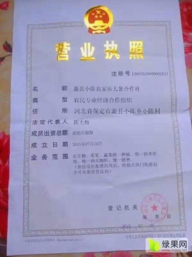 河北保定蠡县优质长白大葱批发基地。诚信代办【张老三】