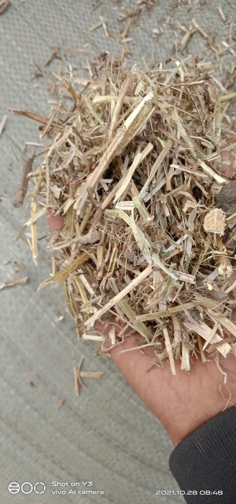 花生秧牛羊草，马兔驴优质草料，猪鹅花生秧草粉，原草