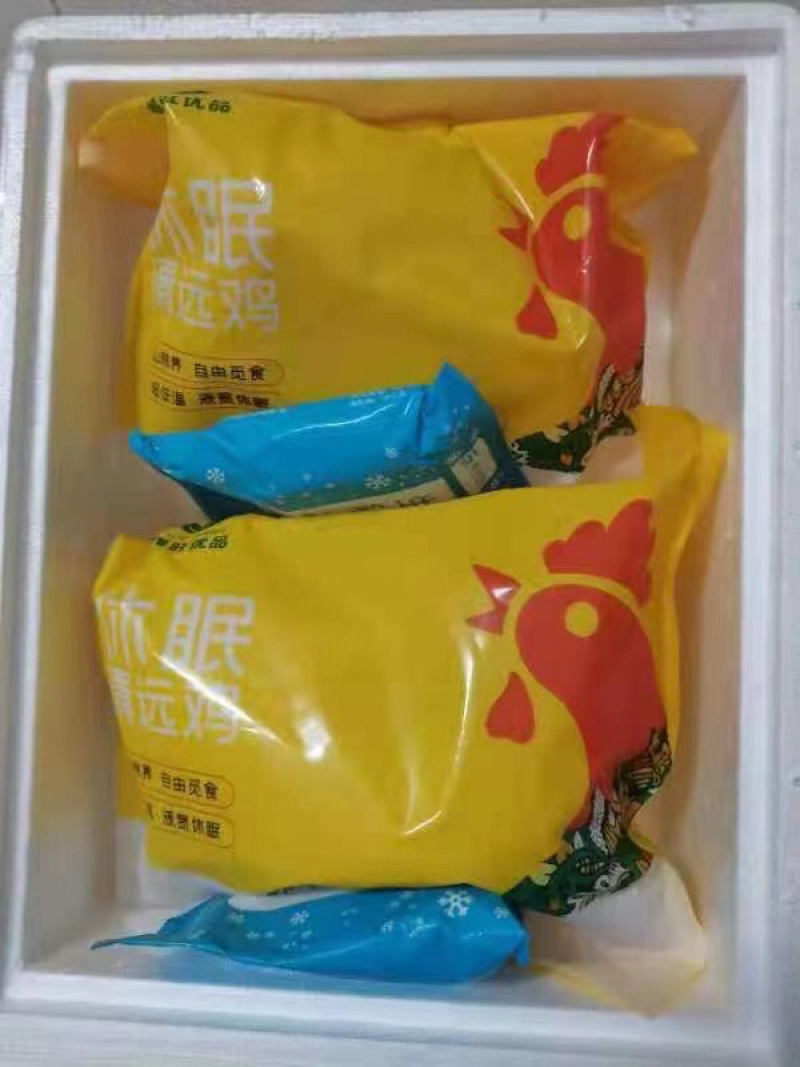 粤旺清远休眠鸡