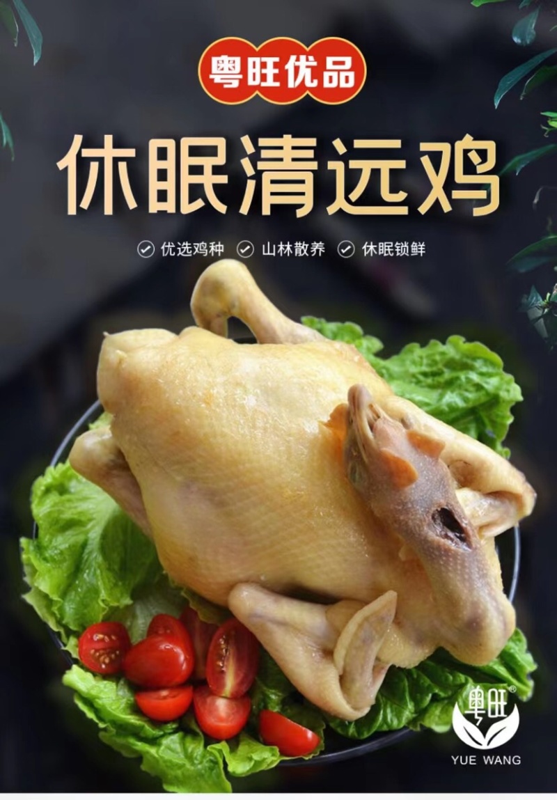 粤旺清远休眠鸡