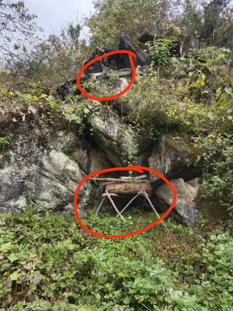 秦岭自然成熟土蜂蜜，产地自产自销只卖良心蜜，不赚昧心钱