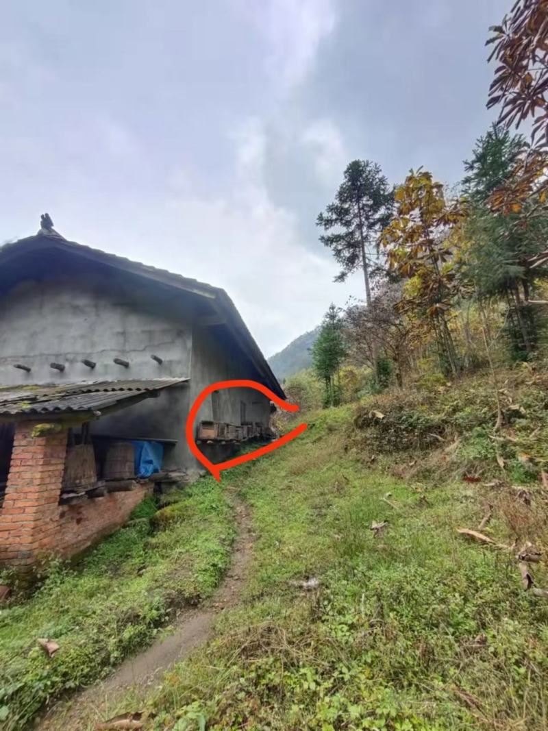 秦岭自然成熟土蜂蜜，产地自产自销只卖良心蜜，不赚昧心钱