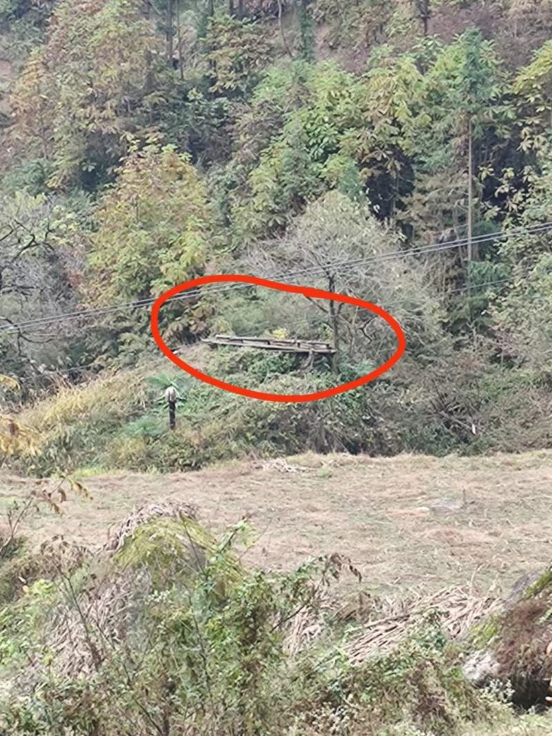 秦岭自然成熟土蜂蜜，产地自产自销只卖良心蜜，不赚昧心钱
