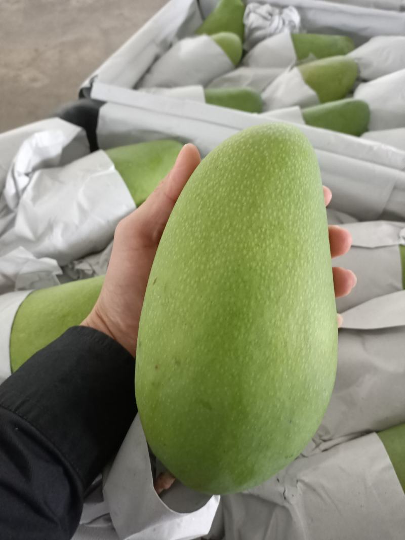 越南红肉菠萝蜜二三级，大青芒一三级，高乐蜜一级一级半