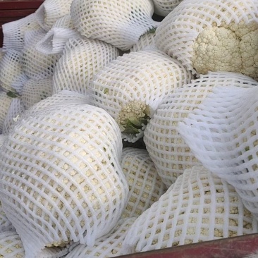 小米散菜花陕西小米散菜花产地一手货源欢迎采购