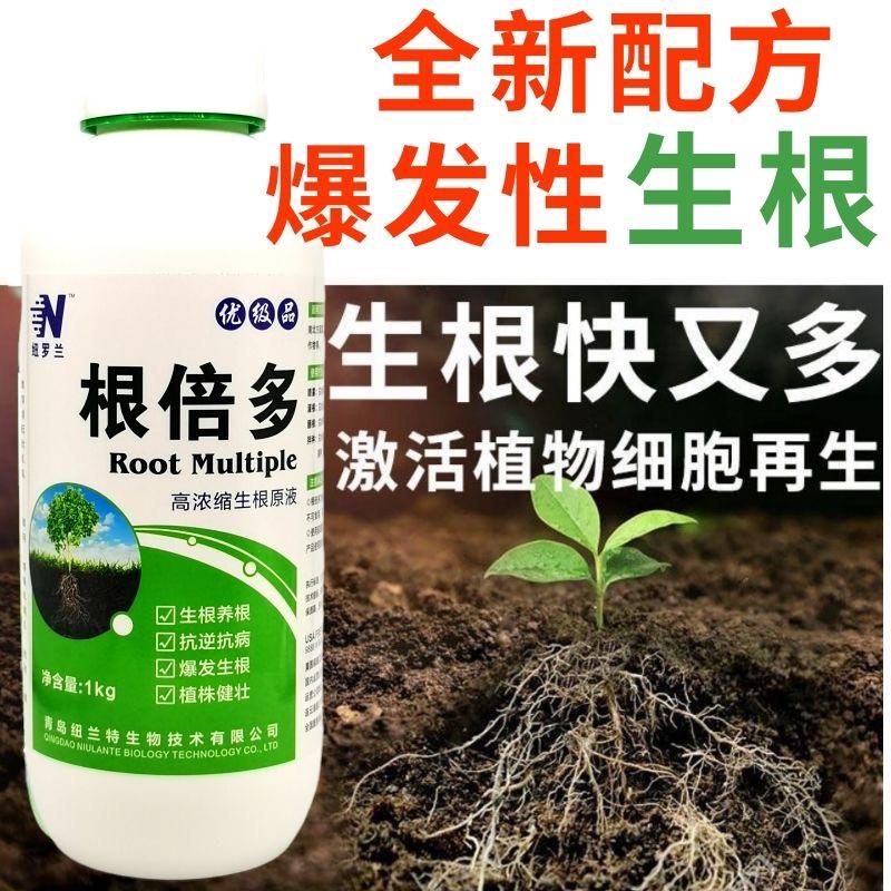 进口生根粉生根壮苗剂速效生根液大树移栽植苗木