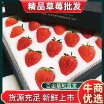 电商优选丹东红颜九九牛奶草莓精品真空包装一件