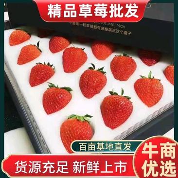 电商优选丹东红颜九九牛奶草莓精品真空包装一件代发