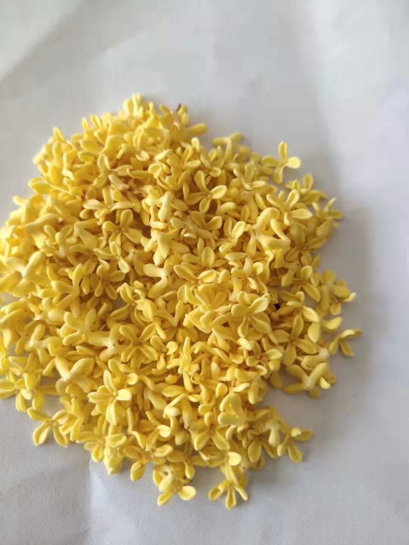 2025精品特级桂花祁门红茶花幽茶香金桂银桂