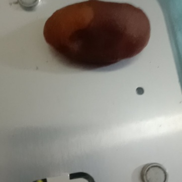 鸡宝