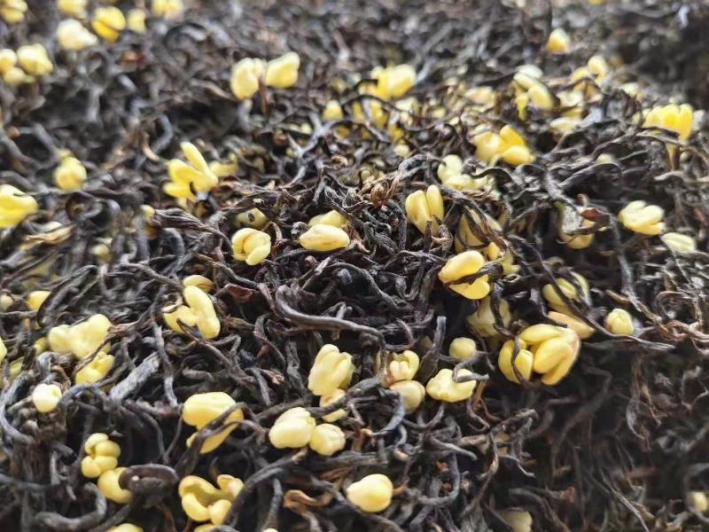 2025一级桂花祁红红茶土种金桂银桂窨制