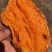 烟薯25蜜薯烤红薯专用河北雄县红薯产地直发