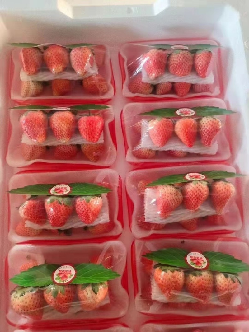 妙香奶油草莓代发全国