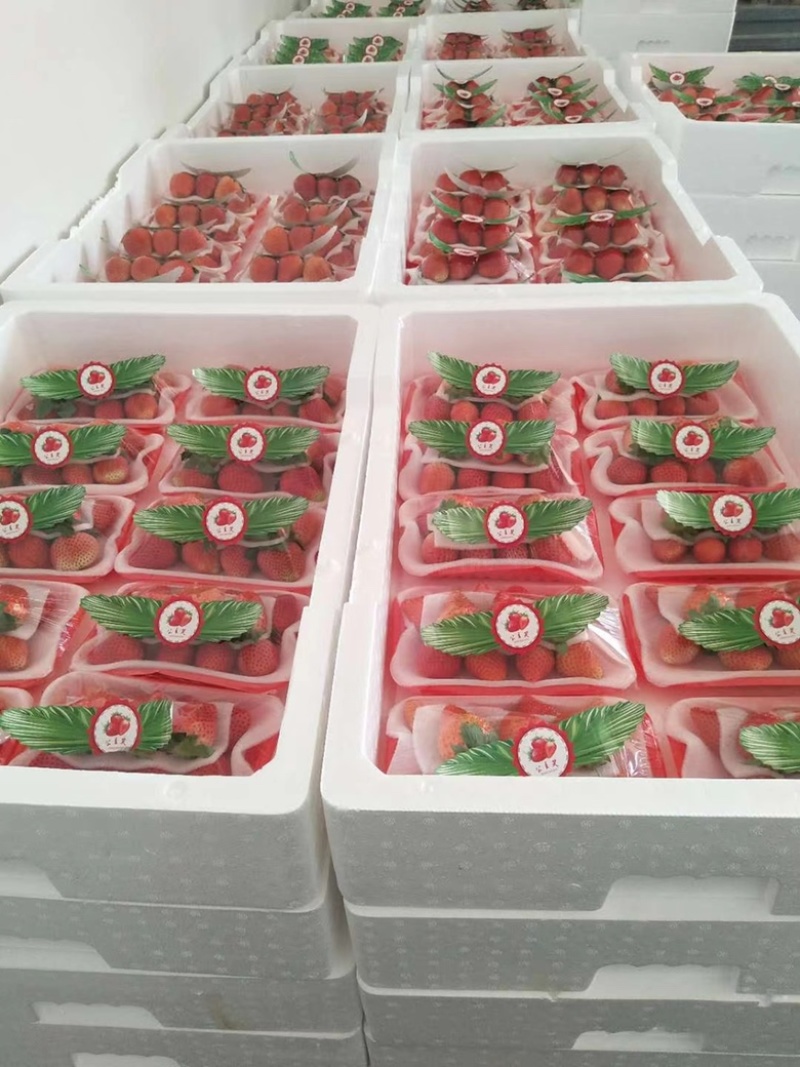 妙香奶油草莓代发全国