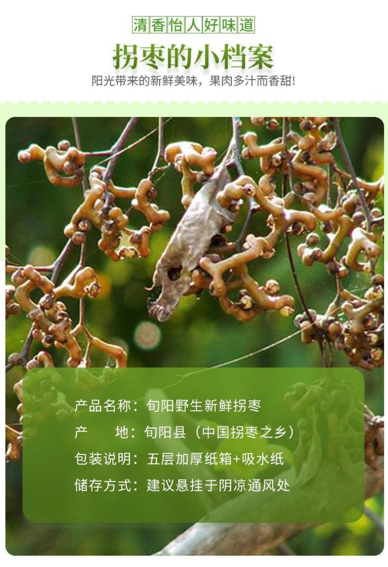 旬阳野生新鲜拐枣生吃拐枣万寿果凤爪梨金钩子枳椇子