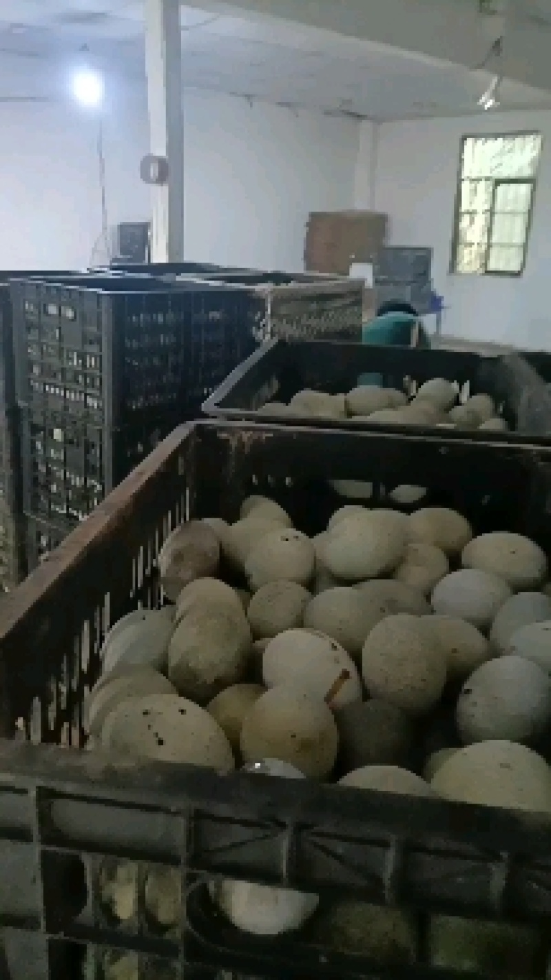 松花蛋批发价低价出售厂家直发，无中间商差价