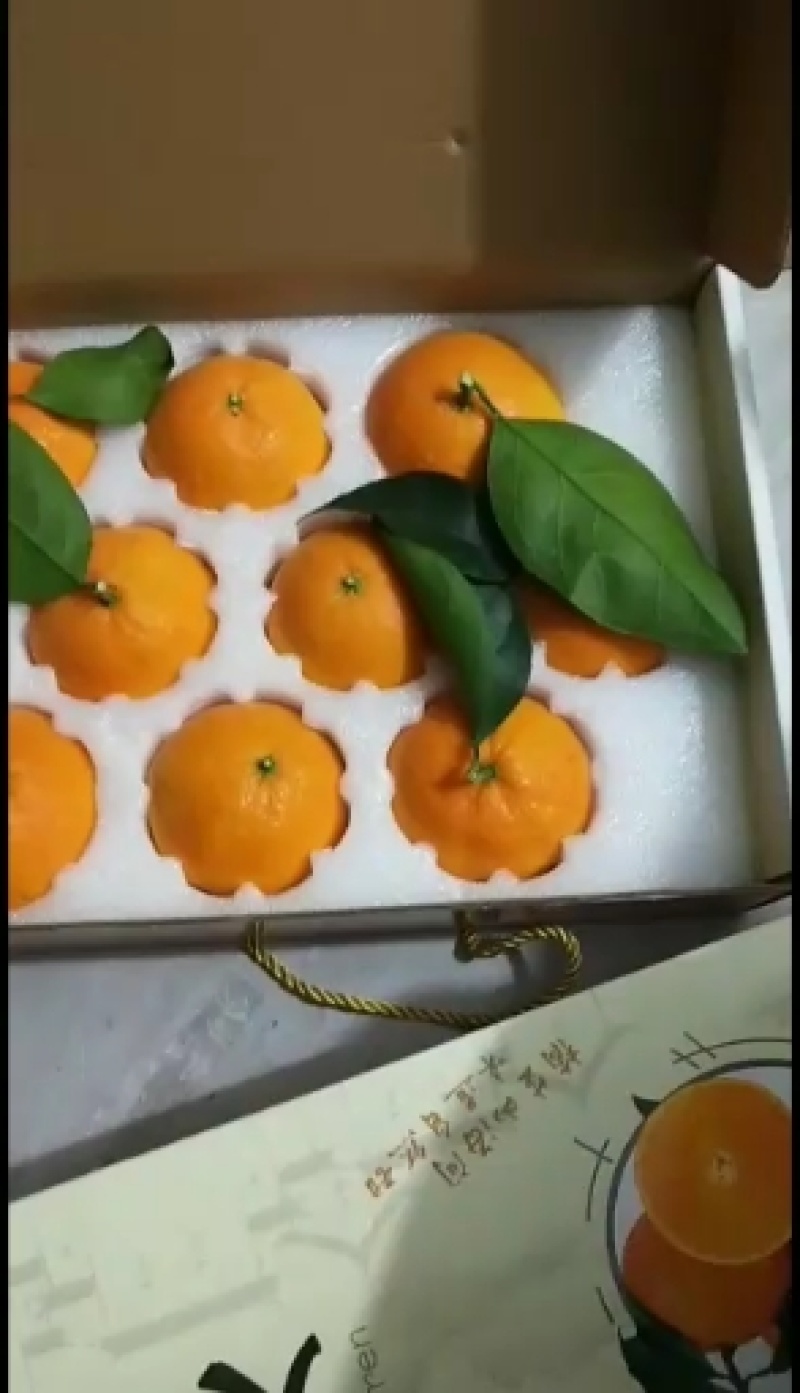 正宗象山红美人，桔中山海间，味道自然甜。