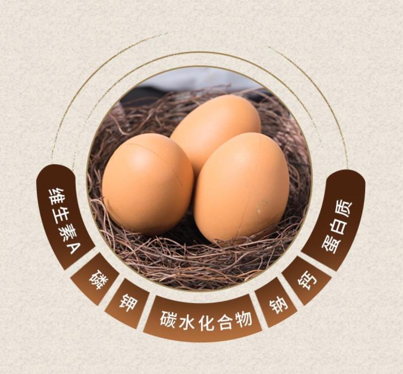 （包邮）乳酸菌富硒鸡蛋，权威机构检查，比土鸡蛋营养更丰富