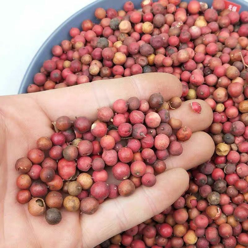 南天竹子冷背专营中药材量大从优