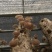 粤旺鲜香菇