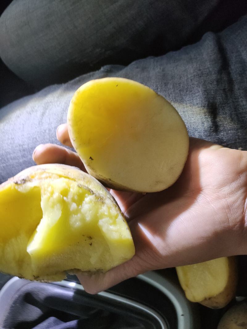 尤金885土豆，黑土地的土豆，好吃不会生，