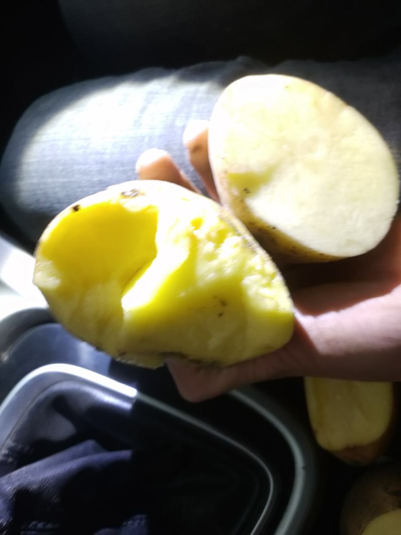 尤金885土豆，黑土地的土豆，好吃不会生，