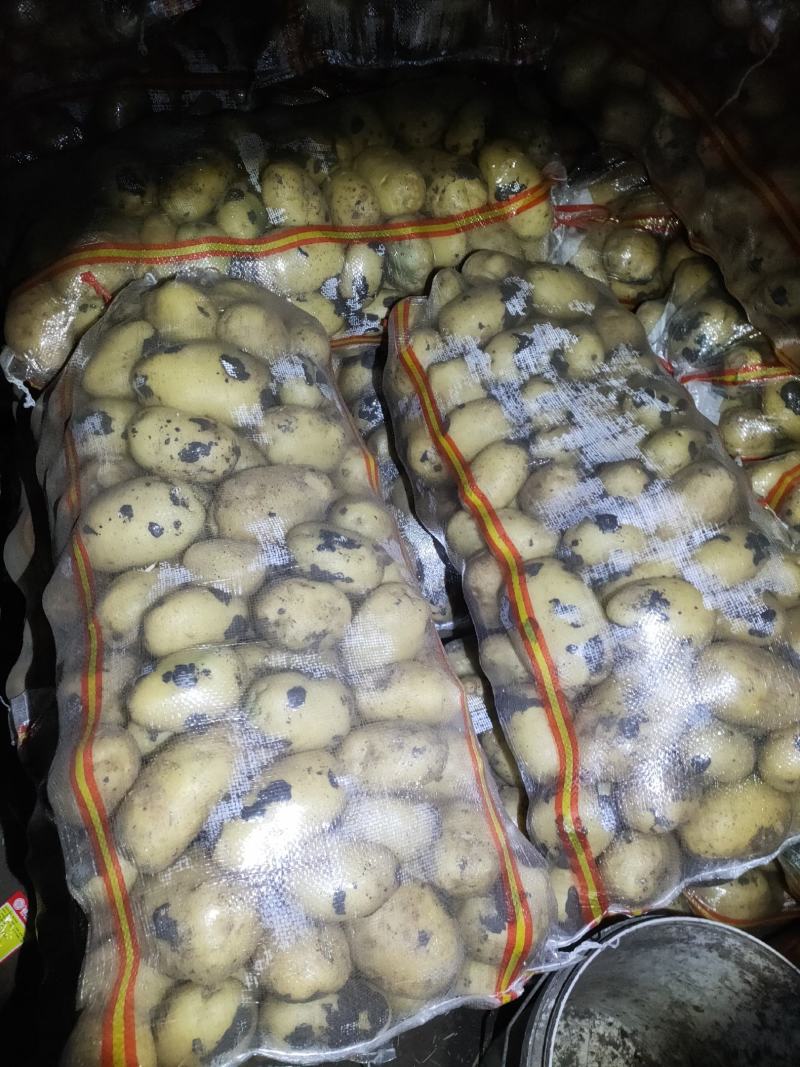 尤金885土豆，黑土地的土豆，好吃不会生，