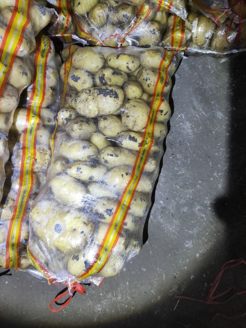 尤金885土豆，黑土地的土豆，好吃不会生，