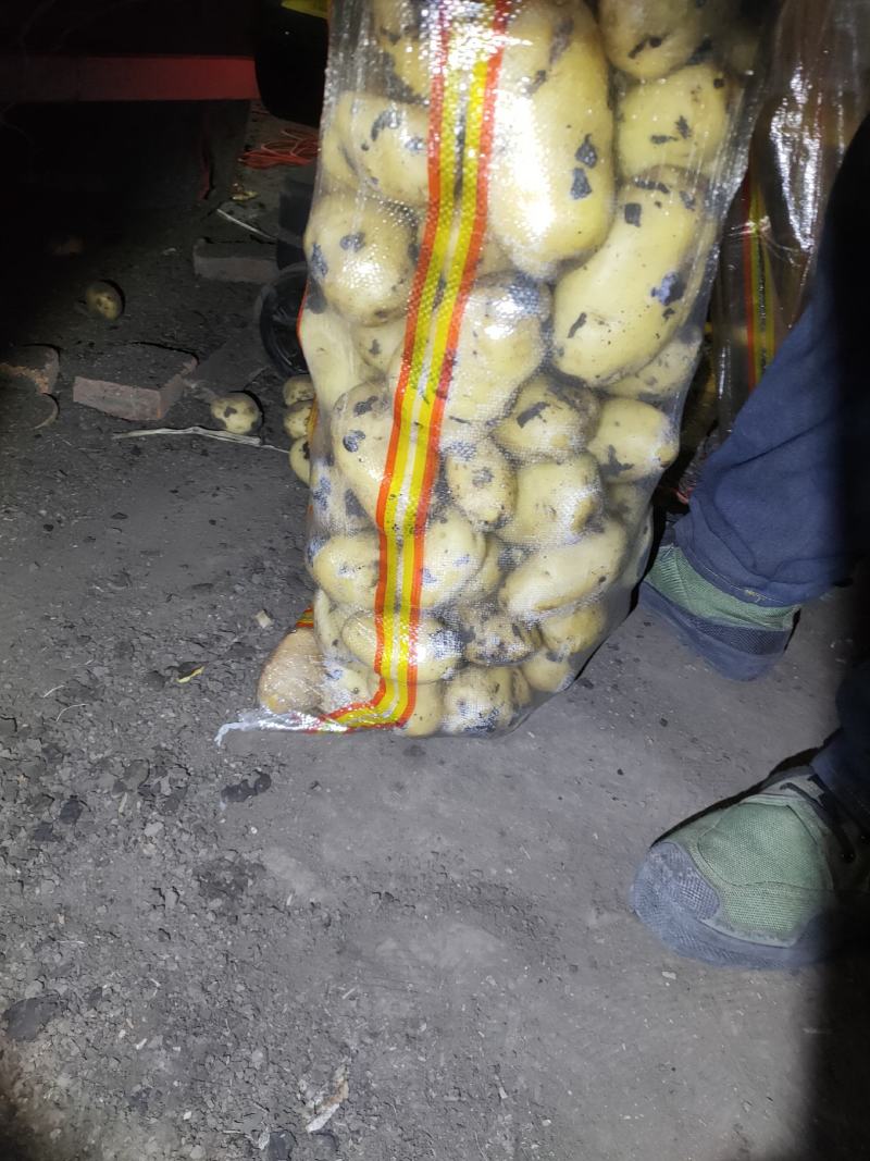 尤金885土豆，黑土地的土豆，好吃不会生，