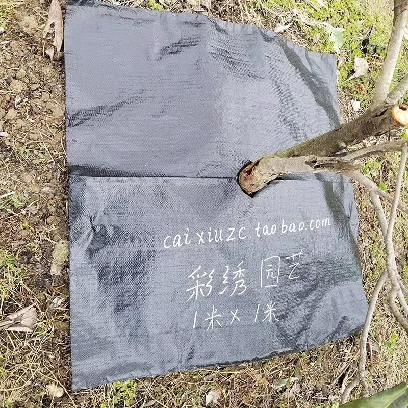 切片打孔地布防草布除草布农用果园抑草布园林保湿抗老化盖草