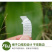 压膜线压膜带2公分3公分加厚各种规格质量保证