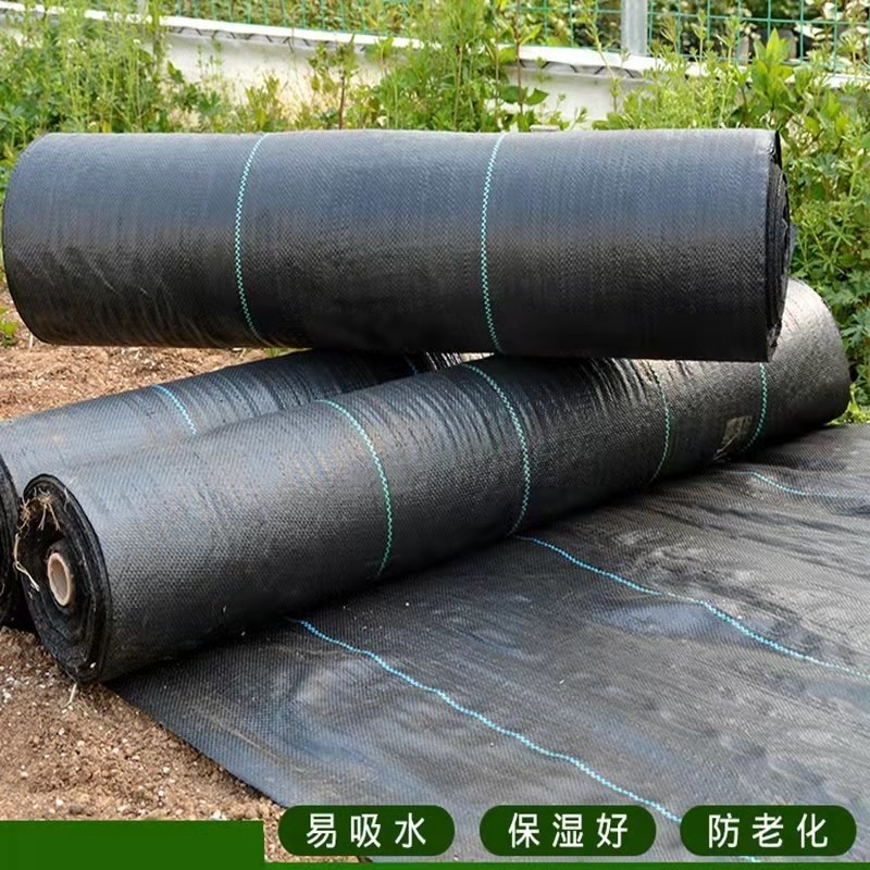 防草布除草布抗老化果园果树遮草盖草布防草布防草布农用园艺