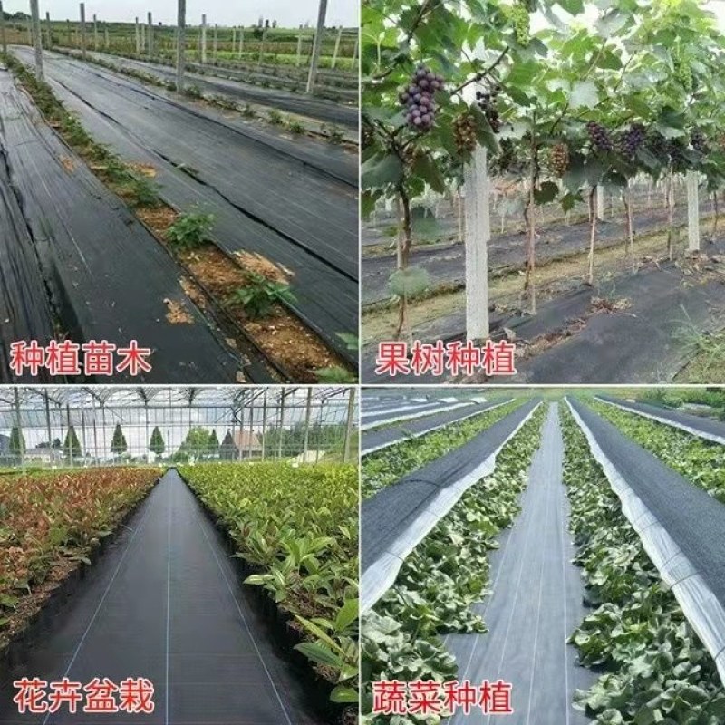 防草布除草布抗老化果园果树遮草盖草布防草布防草布农用园艺
