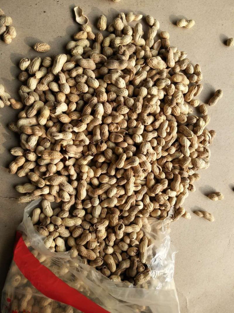 山东破皮卤味花生次果破了壳的花生赶集超市微商搞活动专卖