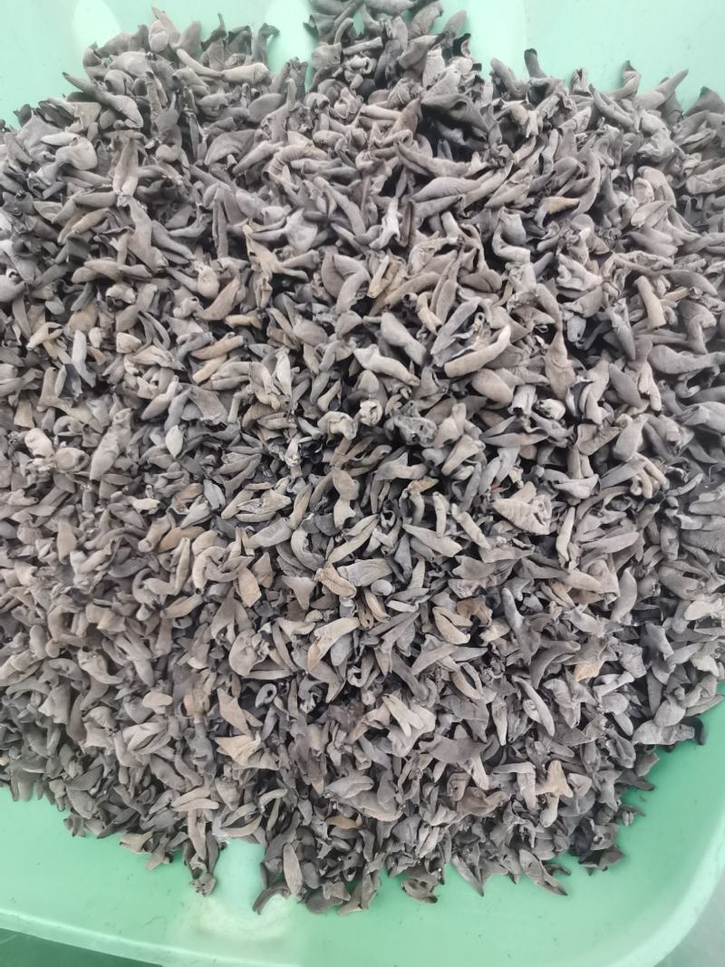 【黑木耳】特级东北黑木耳一级秋冬耳诚信经营量大