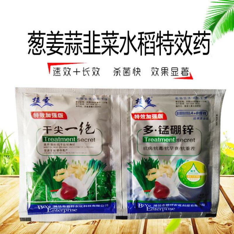 干尖一绝干尖灵葱姜蒜韭菜干尖专用叶面肥组合调理剂