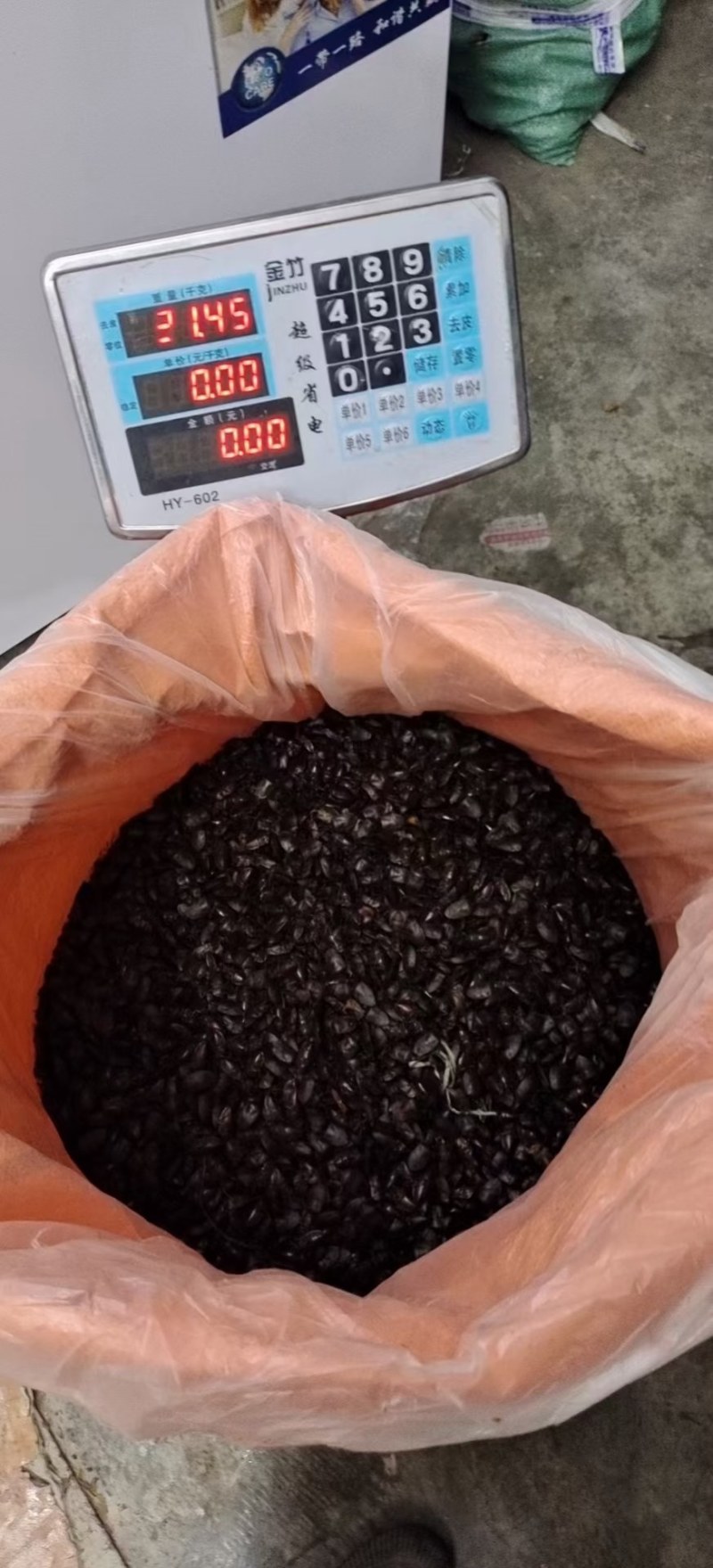 九香虫