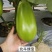 北斗绿宝茄子种子特高产抗病大果茄子种子基地专用灯泡茄种子