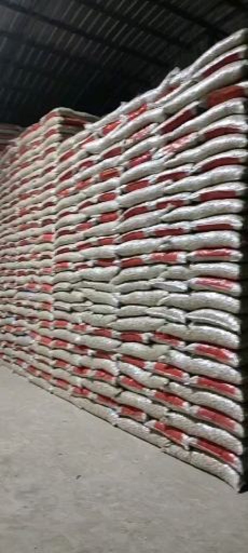 吉林省洮南本地四粒红色选果花生颗颗饱满可视频看货量大价优