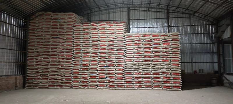吉林省洮南本地四粒红色选果花生颗颗饱满可视频看货量大价优