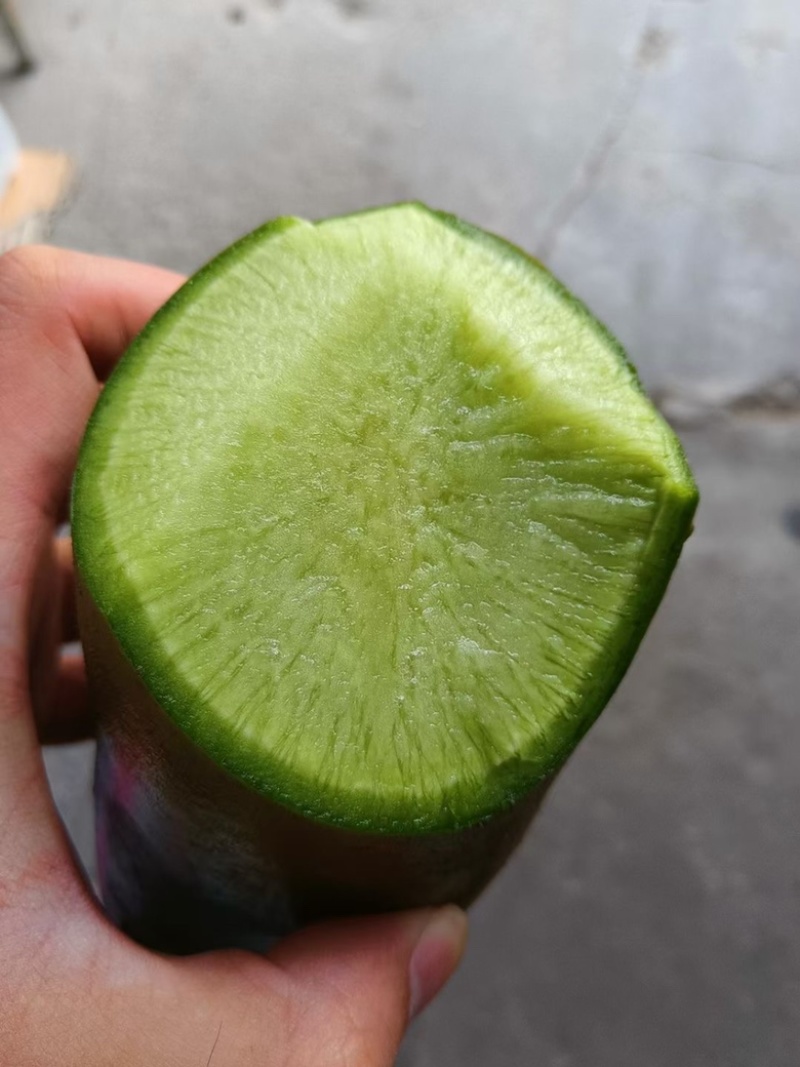 水果萝卜，皮薄肉厚多汁，人工免费，支持打款发货