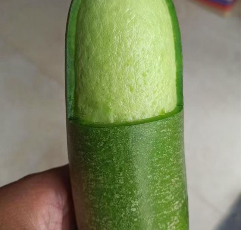 水果萝卜，皮薄肉厚。装车免费，小工免费，食宿免费