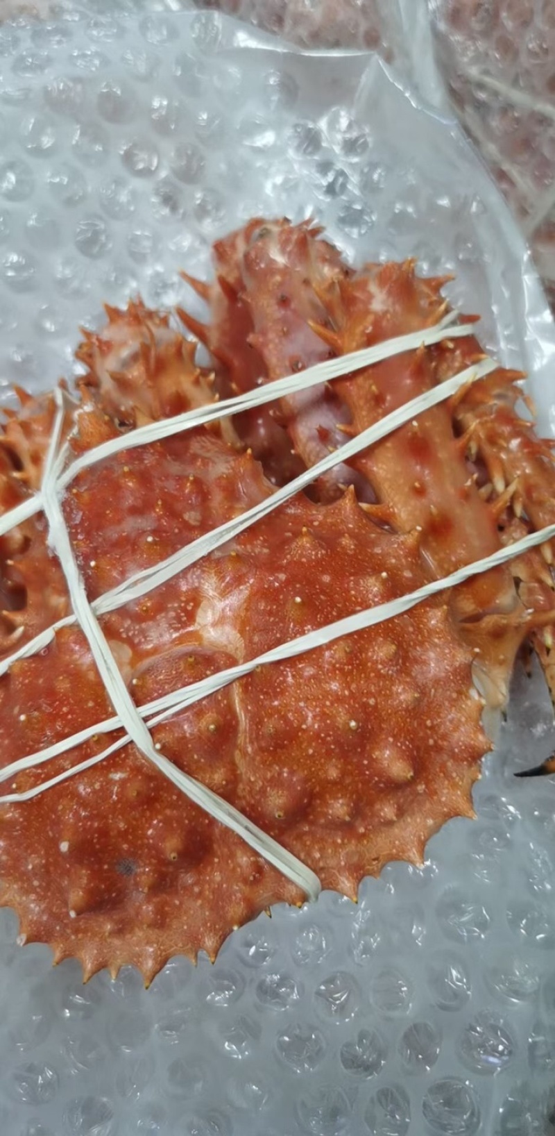 帝王蟹