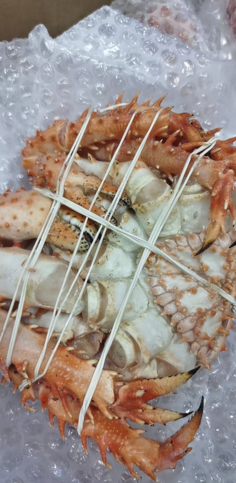 帝王蟹