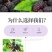 桑葚干【新货】新疆特产吐鲁番桑葚果干黑桑葚干泡水泡茶包邮