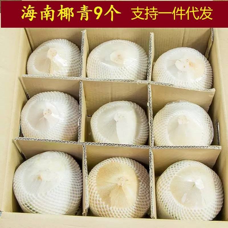 海南文昌椰子青，良心商家，长期供货，全国各地发货