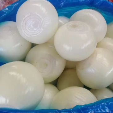 优质精品黄皮洋葱球，品质优良，量大从优，欢迎合作！！！